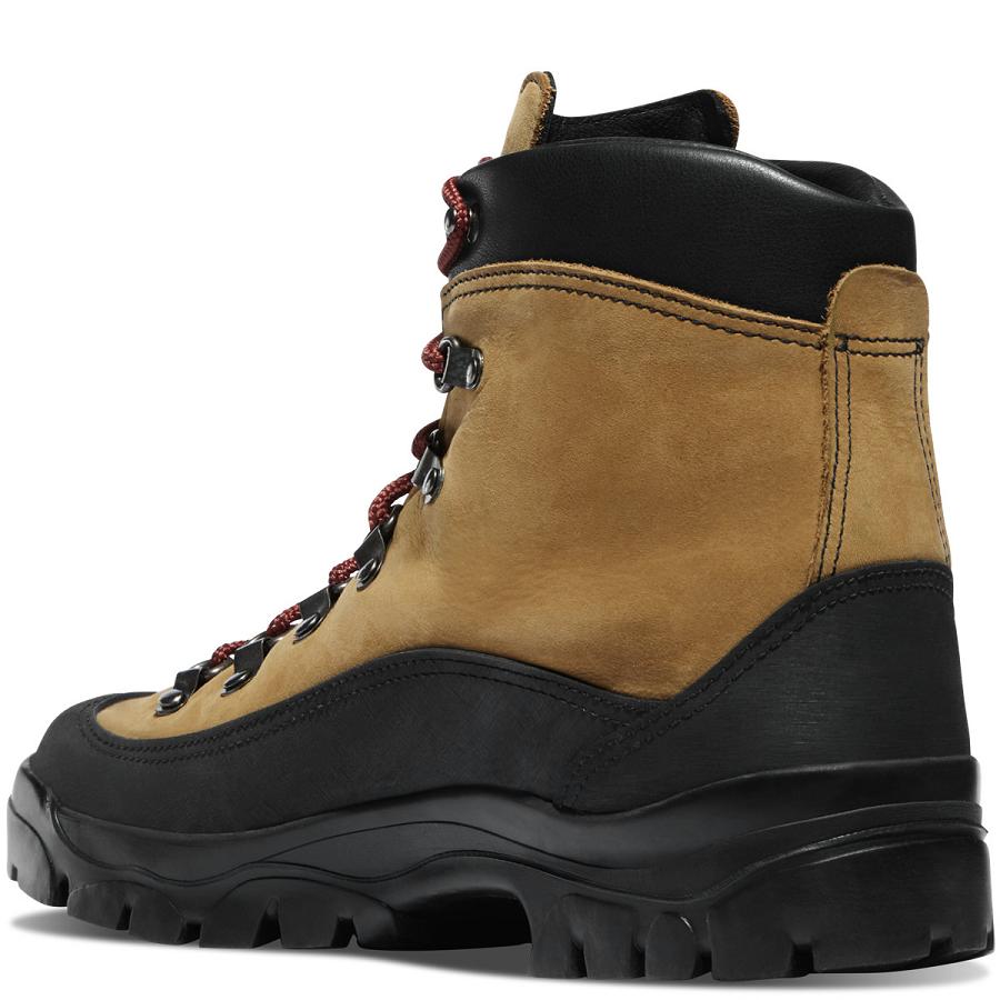 Danner Crater Rim Scarponi Escursionismo Uomo Marroni | IT4207AP