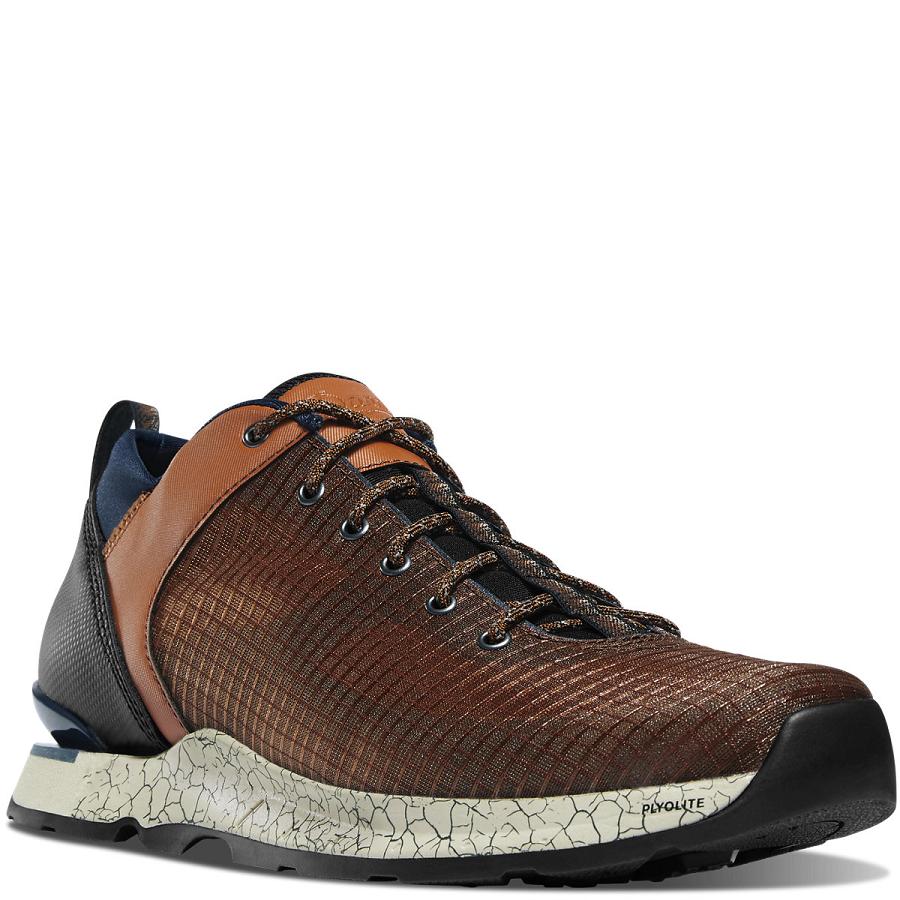 Danner Desert Overlook Scarpe Trekking Uomo Marroni | IT4269IS