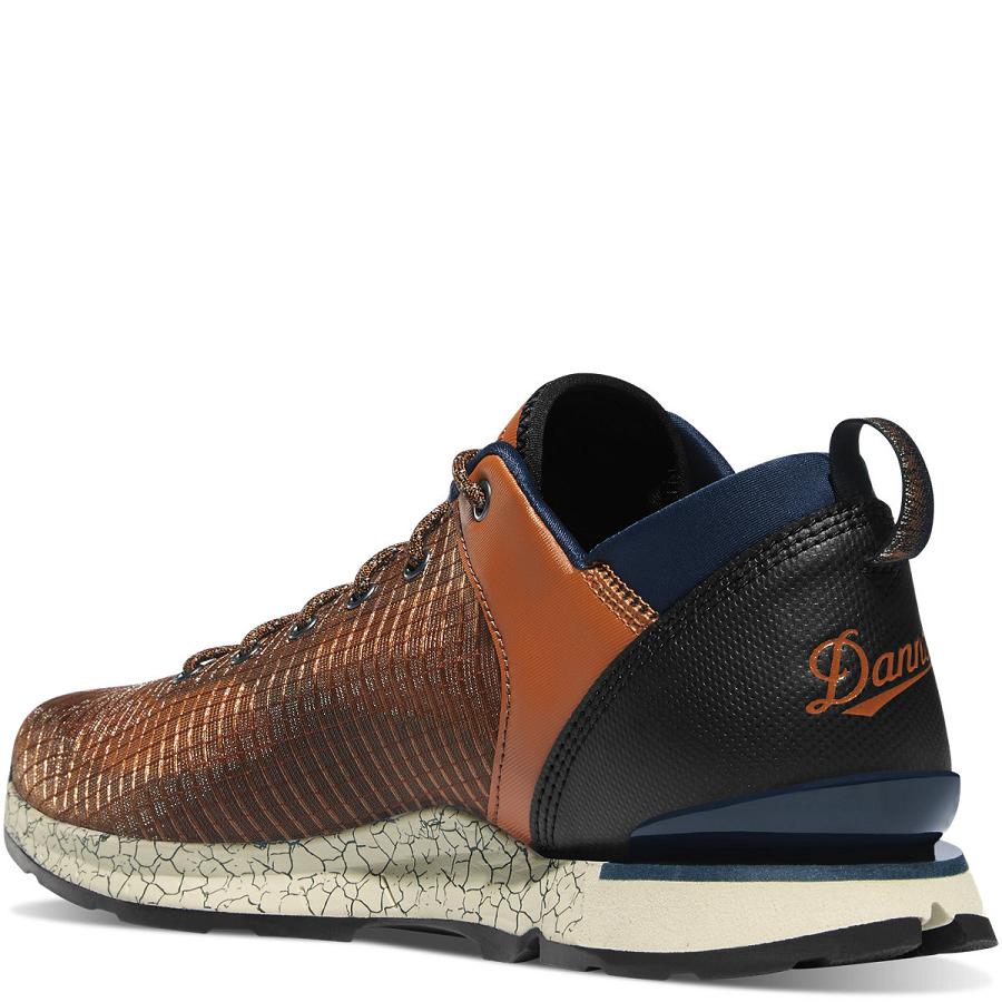 Danner Desert Overlook Scarpe Trekking Uomo Marroni | IT4269IS