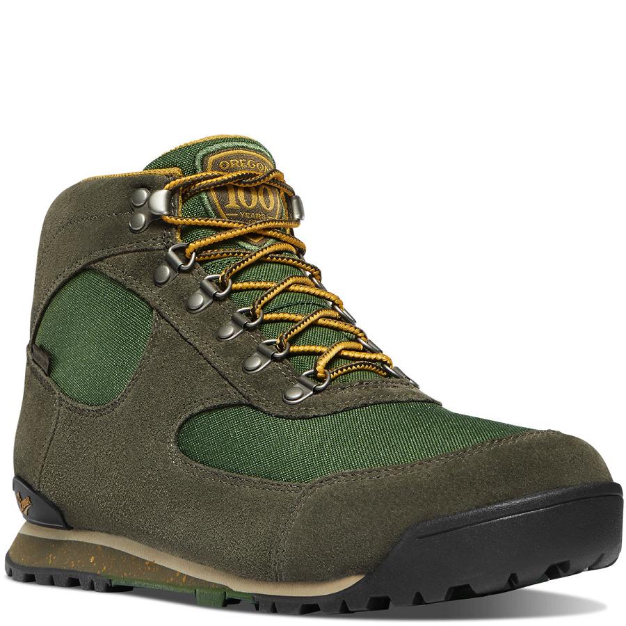 Danner Jag OR State Parks Centennial Scarponi Escursionismo Uomo Verde Oliva | IT4243OR