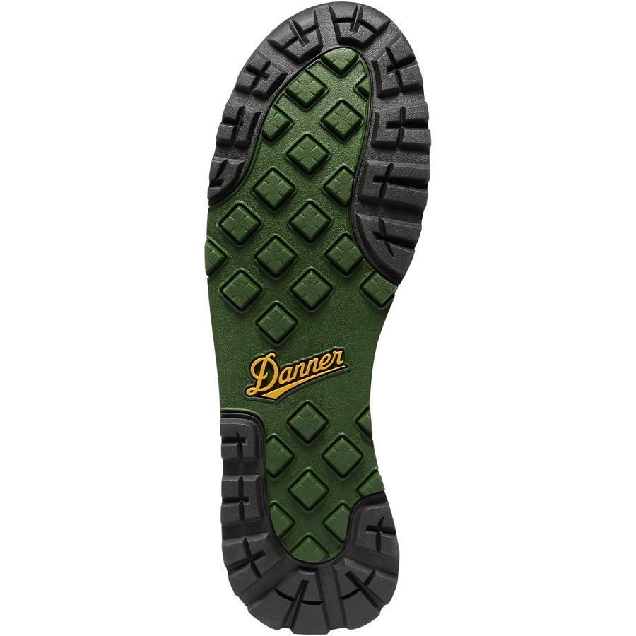 Danner Jag OR State Parks Centennial Scarponi Escursionismo Uomo Verde Oliva | IT4243OR