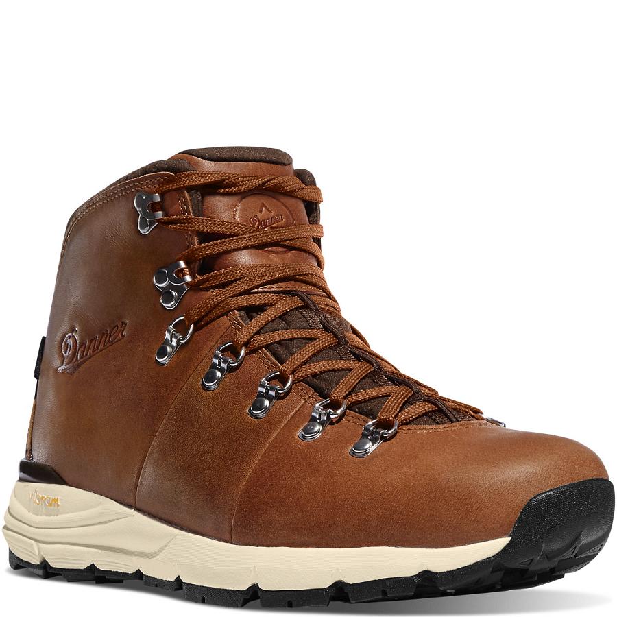 Danner Mountain 600 4.5