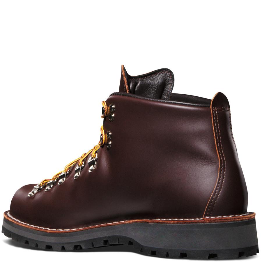 Danner Mountain Light - GORE-TEX Stivali da Lavoro Uomo Caffè | IT4169RW