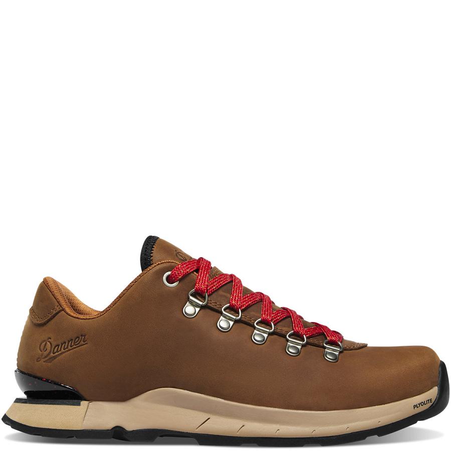 Danner Mountain Overlook Scarpe Donna Marroni | IT4698XF