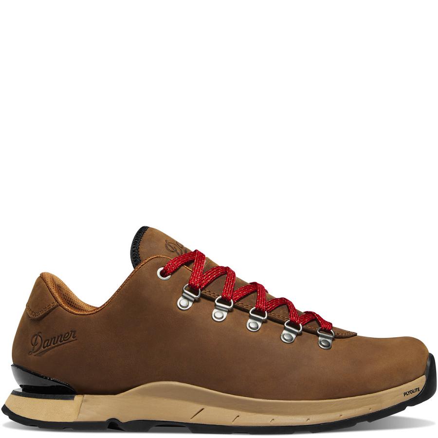 Danner Mountain Overlook Scarpe Trekking Uomo Marroni | IT4271YU