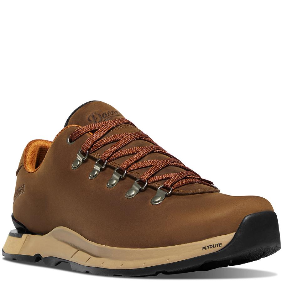 Danner Mountain Overlook Scarpe Uomo Marroni | IT4370AP