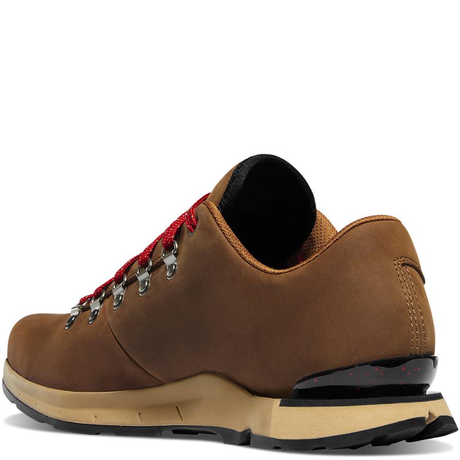 Danner Mountain Overlook Scarpe Uomo Marroni | IT4370AP