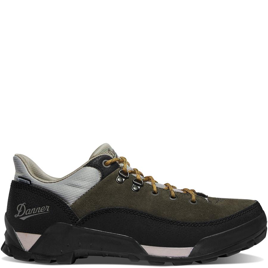 Danner Panorama Low 4\