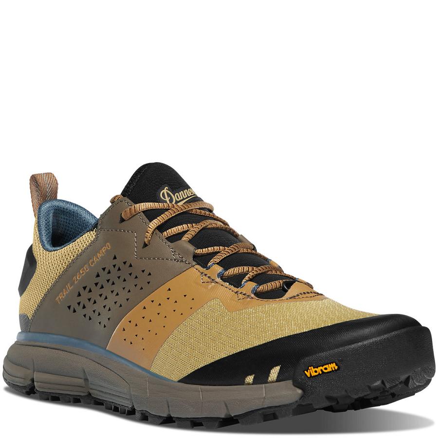 Danner Trail 2650 Campo Scarpe Uomo Marroni Blu | IT4362SO