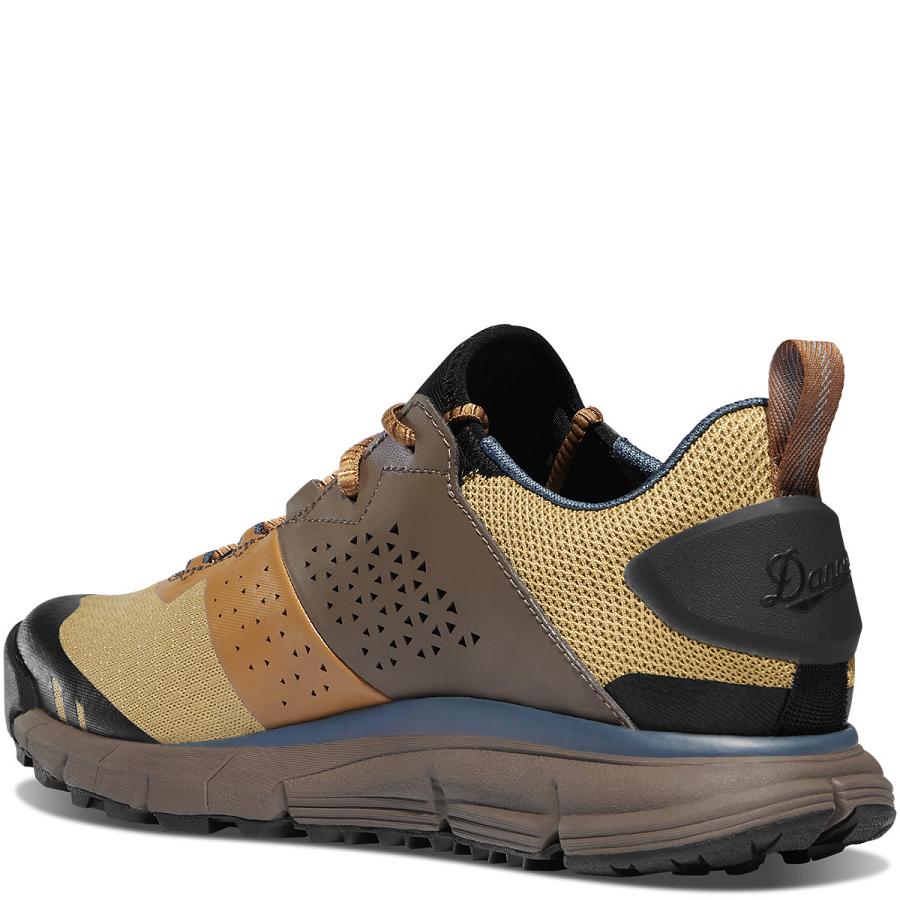 Danner Trail 2650 Campo Scarpe Uomo Marroni Blu | IT4362SO