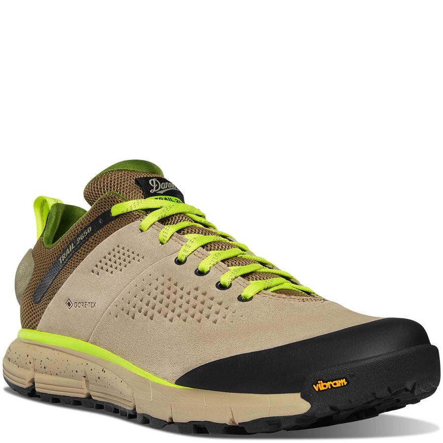 Danner Trail 2650 GTX Scarpe Trekking Uomo Marroni Verdi | IT4290FM