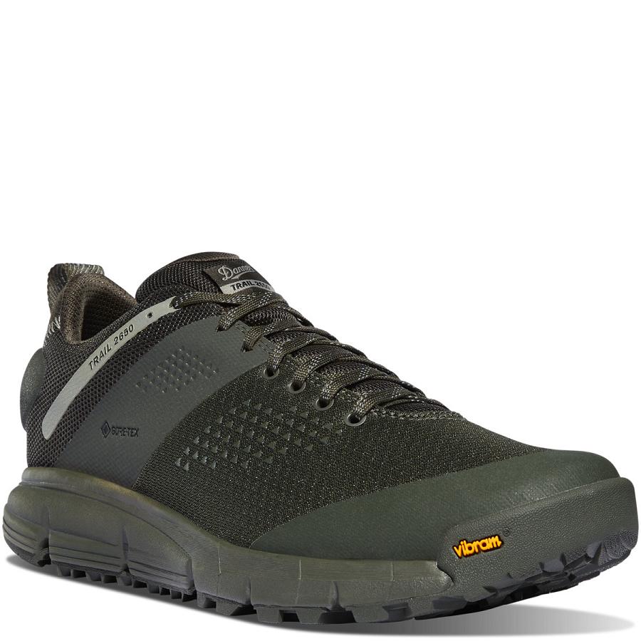 Danner Trail 2650 Mesh GTX Scarpe Trekking Uomo Verde Oliva | IT4288HK