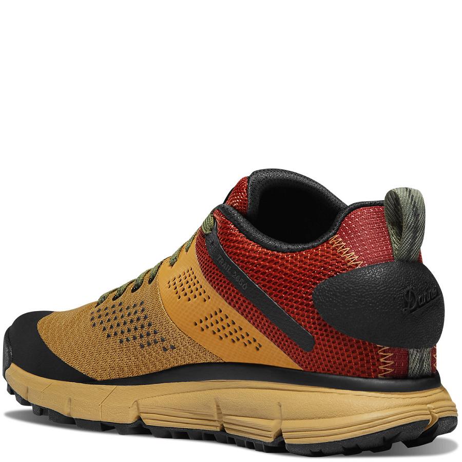 Danner Trail 2650 Mesh Scarpe Donna Marroni | IT4704HK