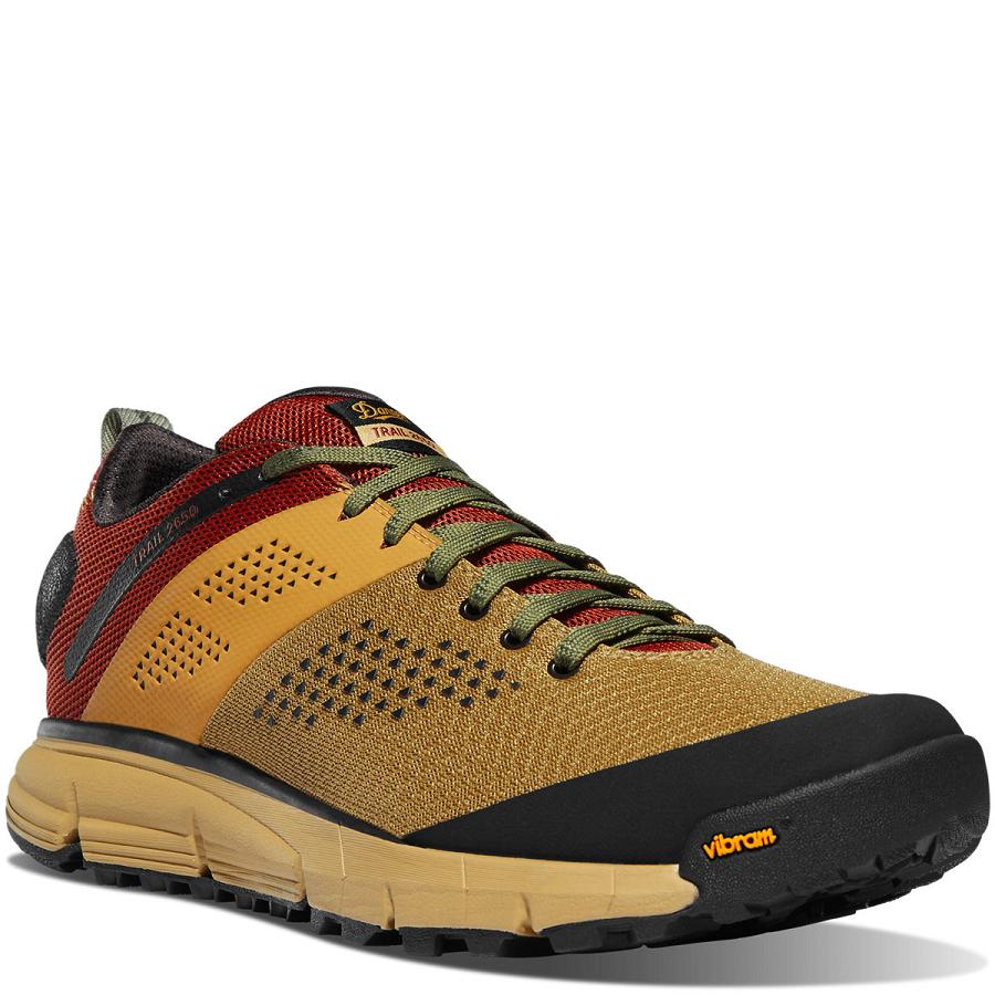 Danner Trail 2650 Mesh Scarpe Trekking Uomo Marroni Rosse | IT4295OR