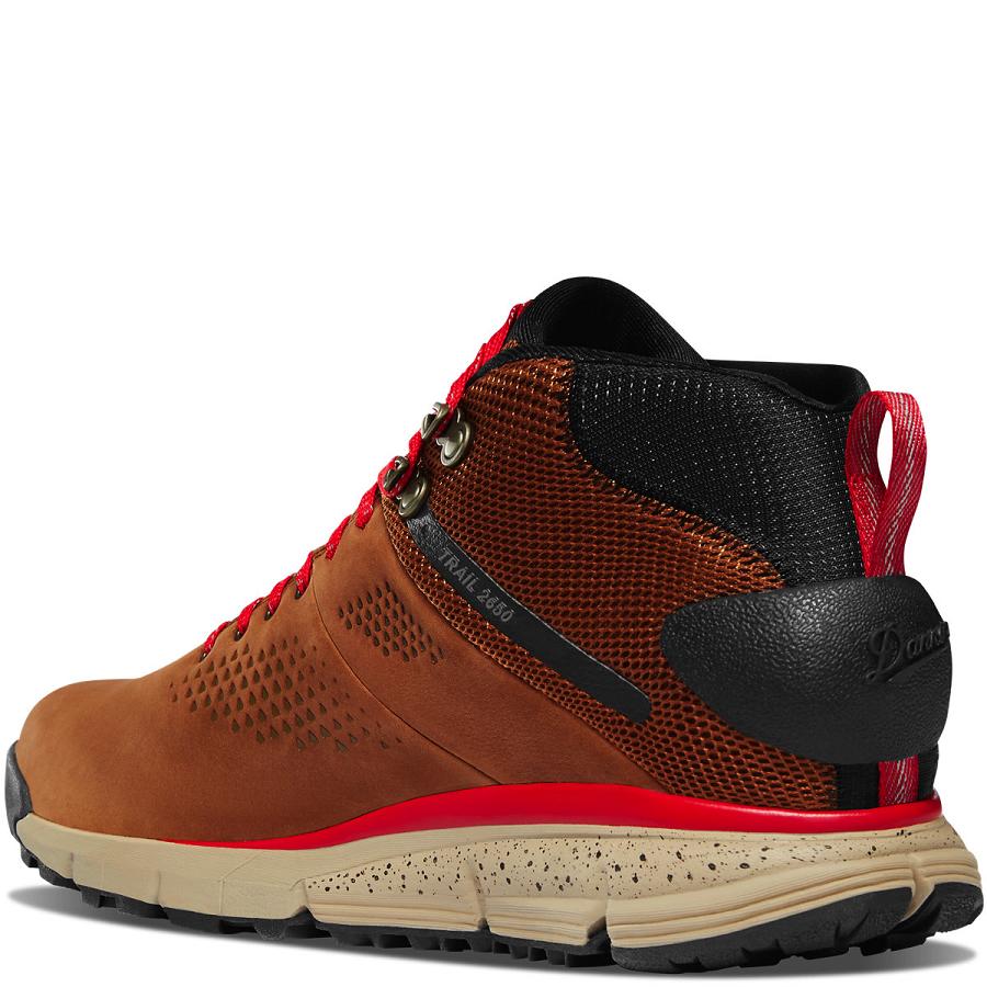 Danner Trail 2650 Mid GTX Scarponi Escursionismo Uomo Marroni Rosse | IT4262GL