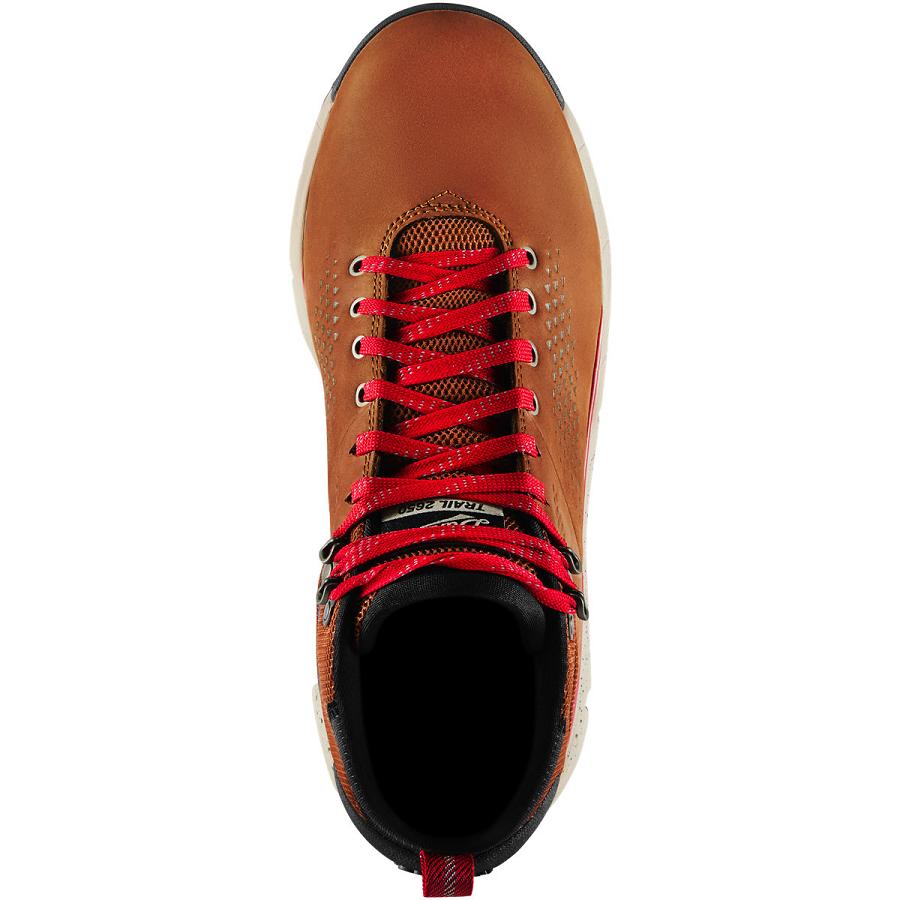 Danner Trail 2650 Mid GTX Scarponi Escursionismo Uomo Marroni Rosse | IT4262GL