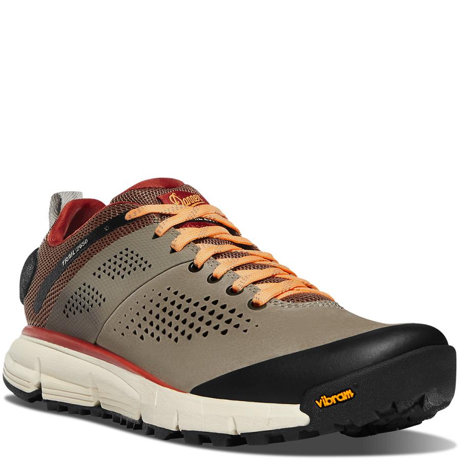 Danner Trail 2650 Scarpe Trekking Donna Grigie Marroni | IT4671GL