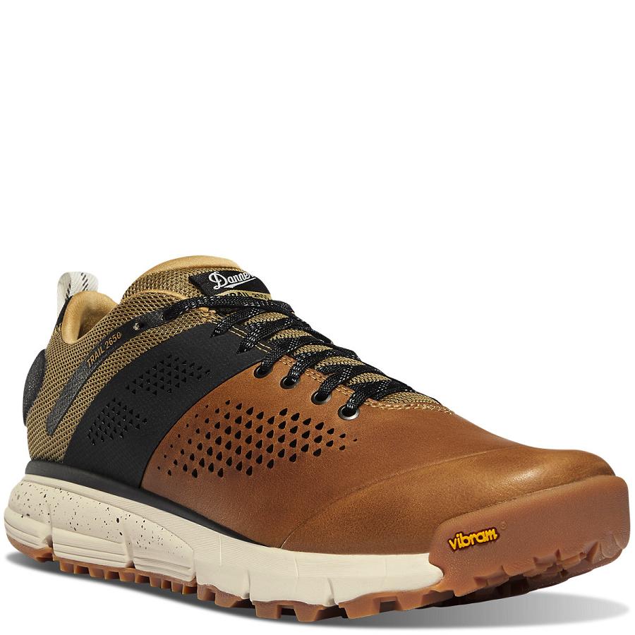 Danner Trail 2650 Scarpe Trekking Uomo Marroni | IT4293AP